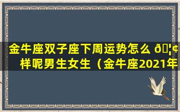 金牛座双子座下周运势怎么 🦢 样呢男生女生（金牛座2021年运势完整版 2021年双子座全年运势详解）